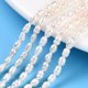 thumbnail image 1 of Natural Cultured Freshwater Pearl Beads Strands Baroque Keshi Pearl Rice Beads Seashell Color 3~5x3~3.5mm Hole: 0.7~0.8mm about 38~39pcs/strand 7.09 inch(18cm), 1 of 6