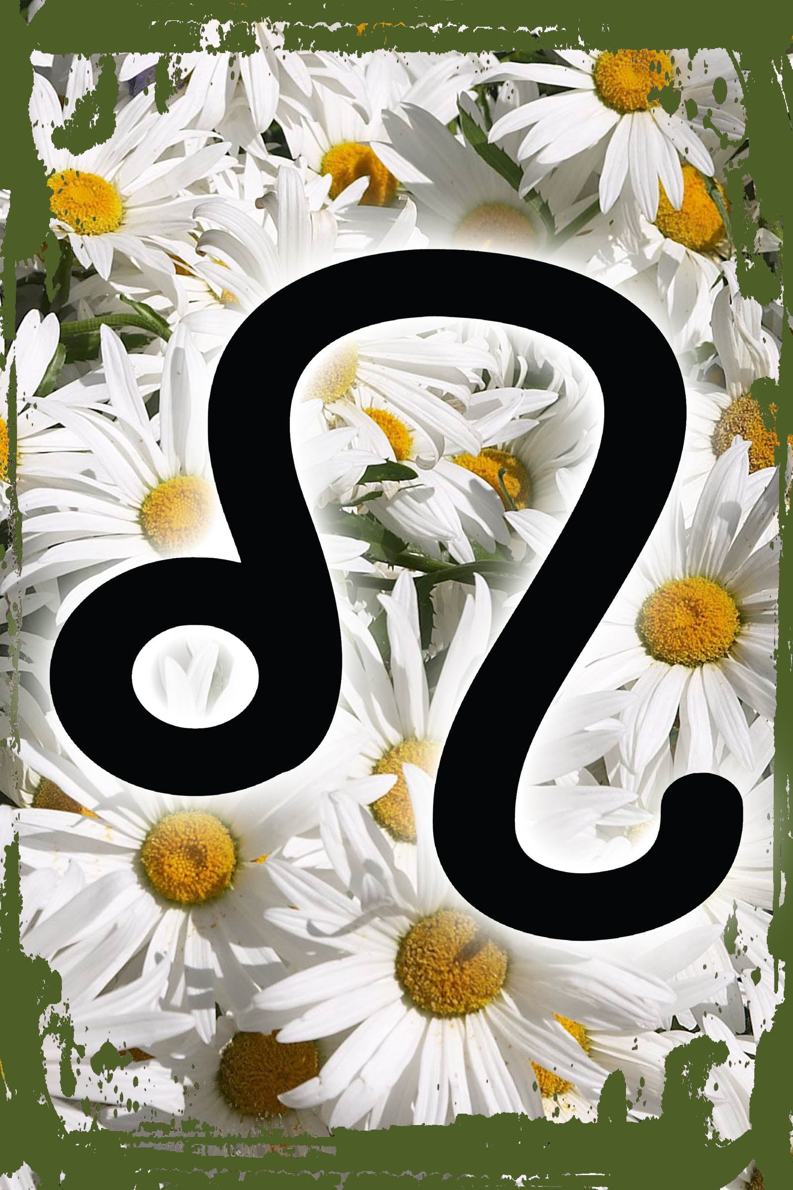 Daisy Flower Flat Canvas Wall Art Print Leo Zodiac Symbol Astrology Horoscope Star Sign Birthday