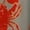 LM414, variant on Lobster Art Prints Short Sleeve Dress Women Summer Evening Dresses Ladies Sundress