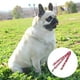 thumbnail image 3 of Conjunto de cinturón de bufanda de collar de perro de sandía adecuado para entrenamiento al aire libre de perro de tamaño mediano niña perro gato MFZFUKR CPB-US-YY654-6, 3 of 5
