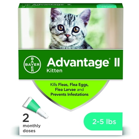 Advantage II Flea Treatment for Kittens, 2 Monthly (Best Flea Treatment For Cats And Kittens)