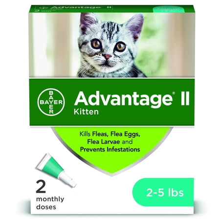 Advantage II Flea Treatment for Kittens, 2 Monthly (Advantage Flea Control For Cats Best Price)