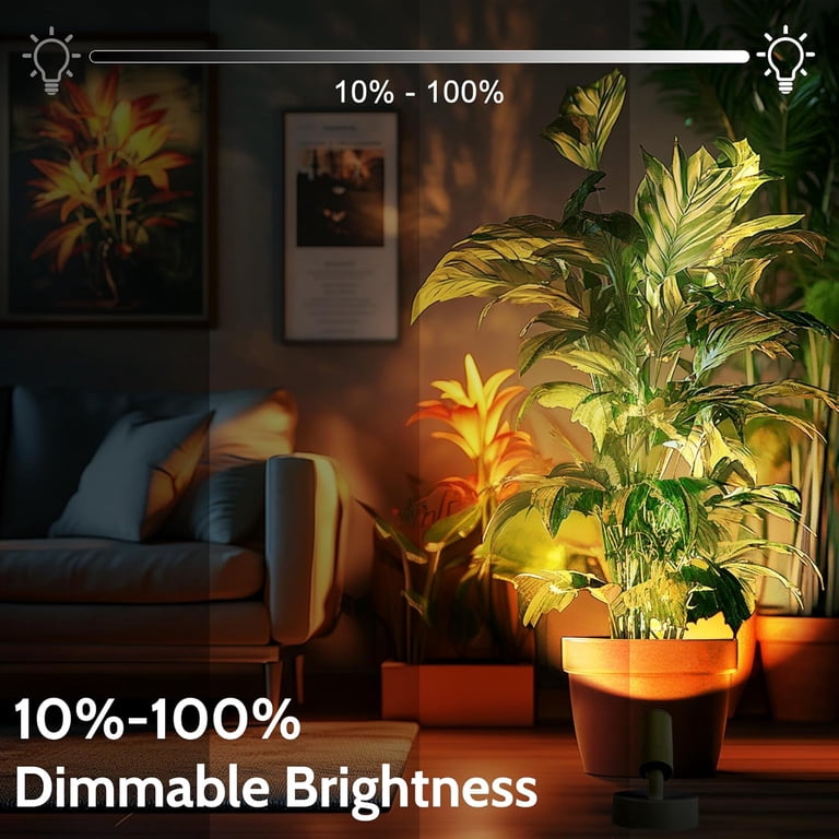 Hugsweet Wireless LED Spotlight With Remote – Rechargeable, Dimmable, Timer, For Wall Art & Plants