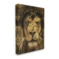 thumbnail image 3 of Stupell Industries Close Up Lion Portrait Photograph Gallery Wrapped Canvas Print Wall Art, Design by Carrie Ann Grippo-Pike, 3 of 7