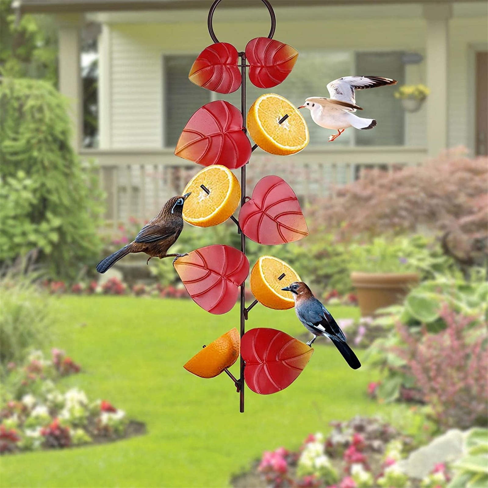 Garden Metal Hanging Feeder Outdoor Jelly and Orange Bird Feeder