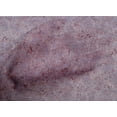 thumbnail image 5 of oneOone Cotton Poplin Wine Fabric Texture Sewing Craft Projects Fabric Prints By Yard 42 Inch Wide, 5 of 5