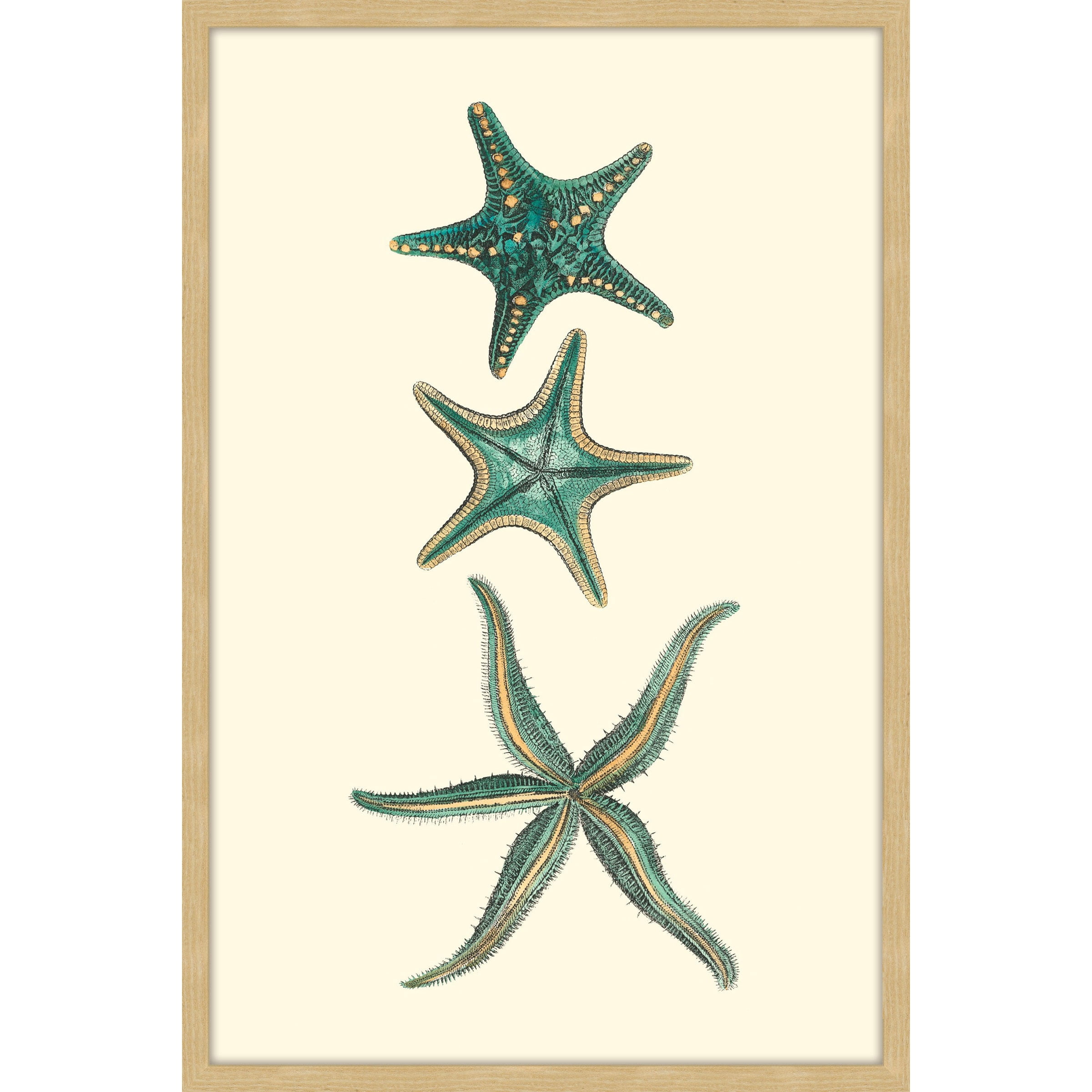Marmont Hill "Aqua Starfish" Framed Painting Print