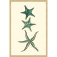 thumbnail image 2 of Marmont Hill "Aqua Starfish" Framed Painting Print, 2 of 5
