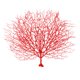thumbnail image 4 of Raindrops 1Ud Rama De Coral Falsa Roja Plástica Para De Ambientes Y Acuarios, 4 of 6