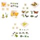 thumbnail image 1 of Figuras de ciclo de crecimiento,Juguetes de desarrollo de figuritas de animal,Juego de de crecimiento Modelos de cognición Rompecabezas,Juguetes educativos Favores de perfke Figuras de ciclo de crecimiento, 1 of 9