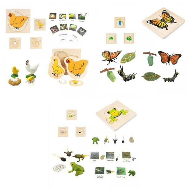 Figuras de ciclo de crecimiento,Juguetes de desarrollo de figuritas de animal,Juego de de crecimiento Modelos de cognición Rompecabezas,Juguetes educativos Favores de perfke Figuras de ciclo de crecimiento