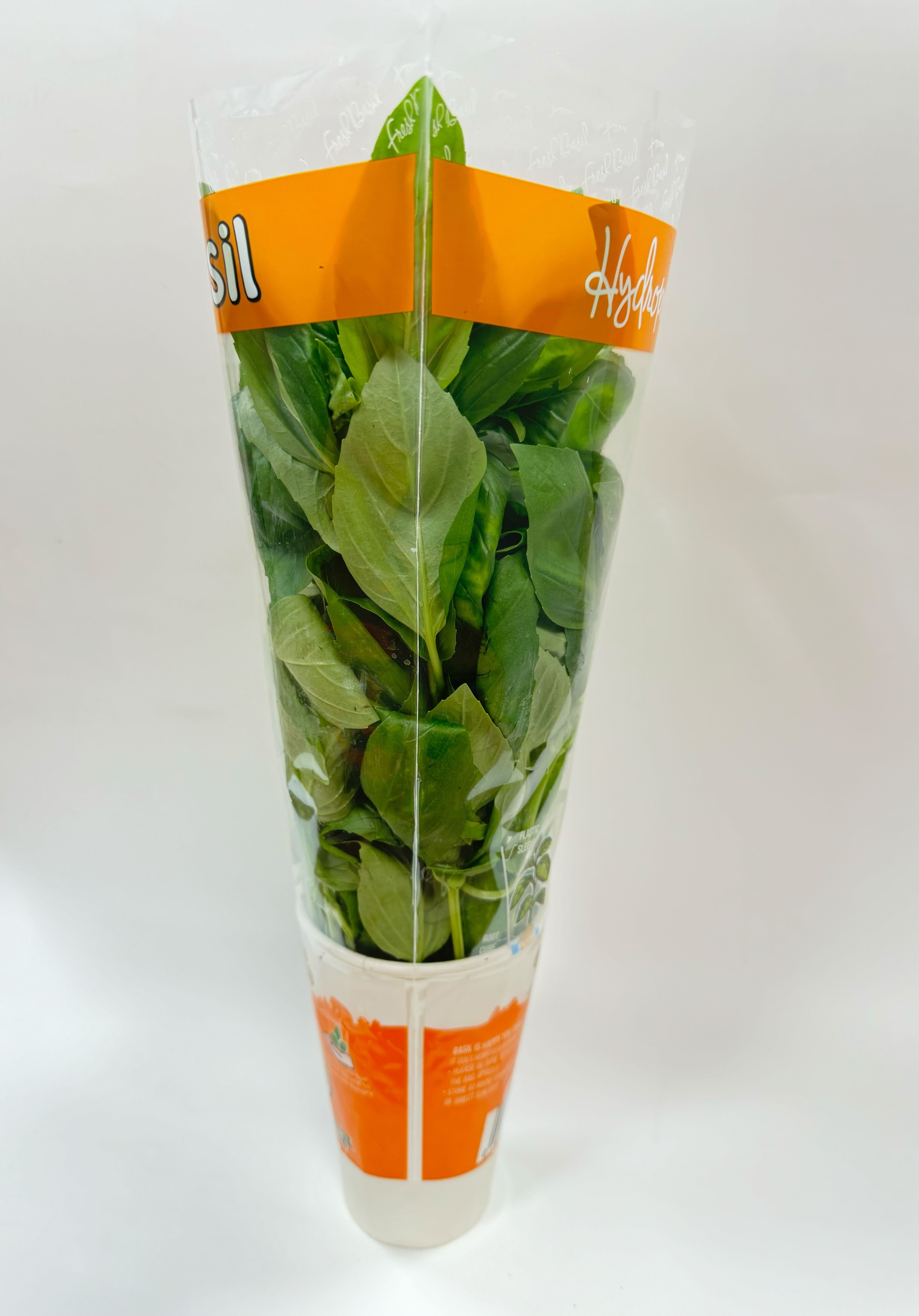 Gg Hydroponically Grown Basil