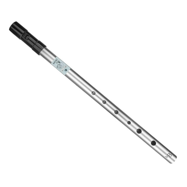 Silbato de flauta portátil, instrumento de música de 6 agujeros, fácil de aprender, silbato de estaño, silbato irlandés Penny para principiantes 37cm Plata Sunnimix silbato de hojalata