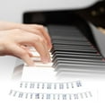 thumbnail image 4 of 61 Keys Piano Keyboard Note Chart Piano Notes Guide Big Letters, Dustproof Easy to Install Piano Keyboard Music Note for Boys and Girls, Kids White bottom black, 4 of 6