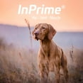 thumbnail image 6 of Van Beek-Natural Science InPrime Canine - Natural Joint Support for Dogs - Helps Maintain Normal Joint Mobility & Function - Supports Hip and Joint for Dogs - Palatable Dog Joint Care - (60 Count), 6 of 6