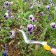 thumbnail image 4 of Milisten 1Ud Desmalezadora Metálica Y Portátil Para Remover Raíces En Jardín, 4 of 8