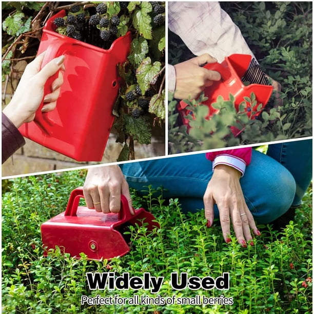 Baies Avec Peigne Métallique, Bleuet Avec Poignée Ergonomique Pour Un Ensemble Plus Facile De Moissonneuse De Baies