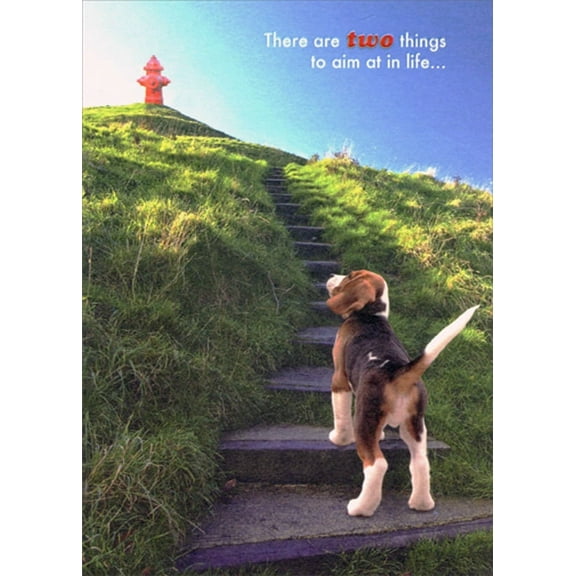 Designer Greetings Beagle Going Up Steps to Reach Hydrant Good Luck Card