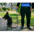 thumbnail image 3 of Laisse Flexible pour Chien avec Sac Banane, Bleu, 3 of 3