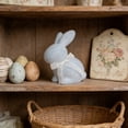 thumbnail image 5 of Easter Flocked Bunny Figurine with Bow, Realistic Fuzzy Rabbit Statue, Adorable Easter Bunny Decor Home Tabletop Decor, Soft Easter Decor for Cozy Farmhouse Mantel and Shelf Display, 7*8.6in, Gray, 5 of 6