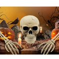 thumbnail image 5 of Skeleton & Posable, Skeleton Skeleton, Model Plastic Skeleton, Movable Joints Of Characters, Halloween Haunted House Props Decoration., 5 of 5