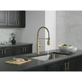 thumbnail image 5 of Delta 18804Z-Dst Theodora 1.8 GPM Single Hole Pre-Rinse Pull Down Kitchen Faucet - Black, 5 of 7