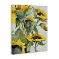 thumbnail image 4 of Stupell Industries Bright Blooming Sunflowers Botanical & Floral Painting Gallery Wrapped Canvas Art Print Wall Art, 30 x 40, 4 of 8