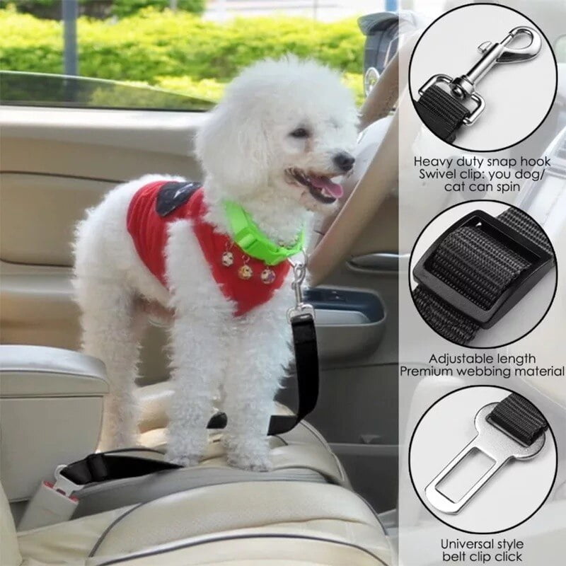 Dog belt for puppy hotsell