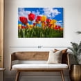 thumbnail image 3 of Elephant Stock Spring Tulip Field Wall Art - Horizontal Canvas Wall Art - Hallway Wall Decor - Floral And Botanical Canvas - Blue And Red Decor - 45" x 30", 3 of 8