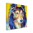 thumbnail image 2 of Robert Phelps Art 'Sheltie on Yellow' Canvas Art, 2 of 3