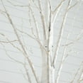 thumbnail image 6 of Nearly Natural 7ft. Pre-Lit Artificial White Birch Tree with 400 Warm White LED Lights, 6 of 11