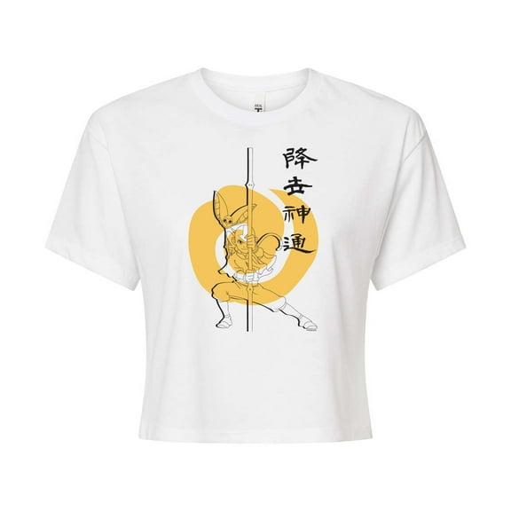 Avatar - The Last Airbender - Aang Momo Kanji - Juniors Cropped Cotton Blend T-Shirt