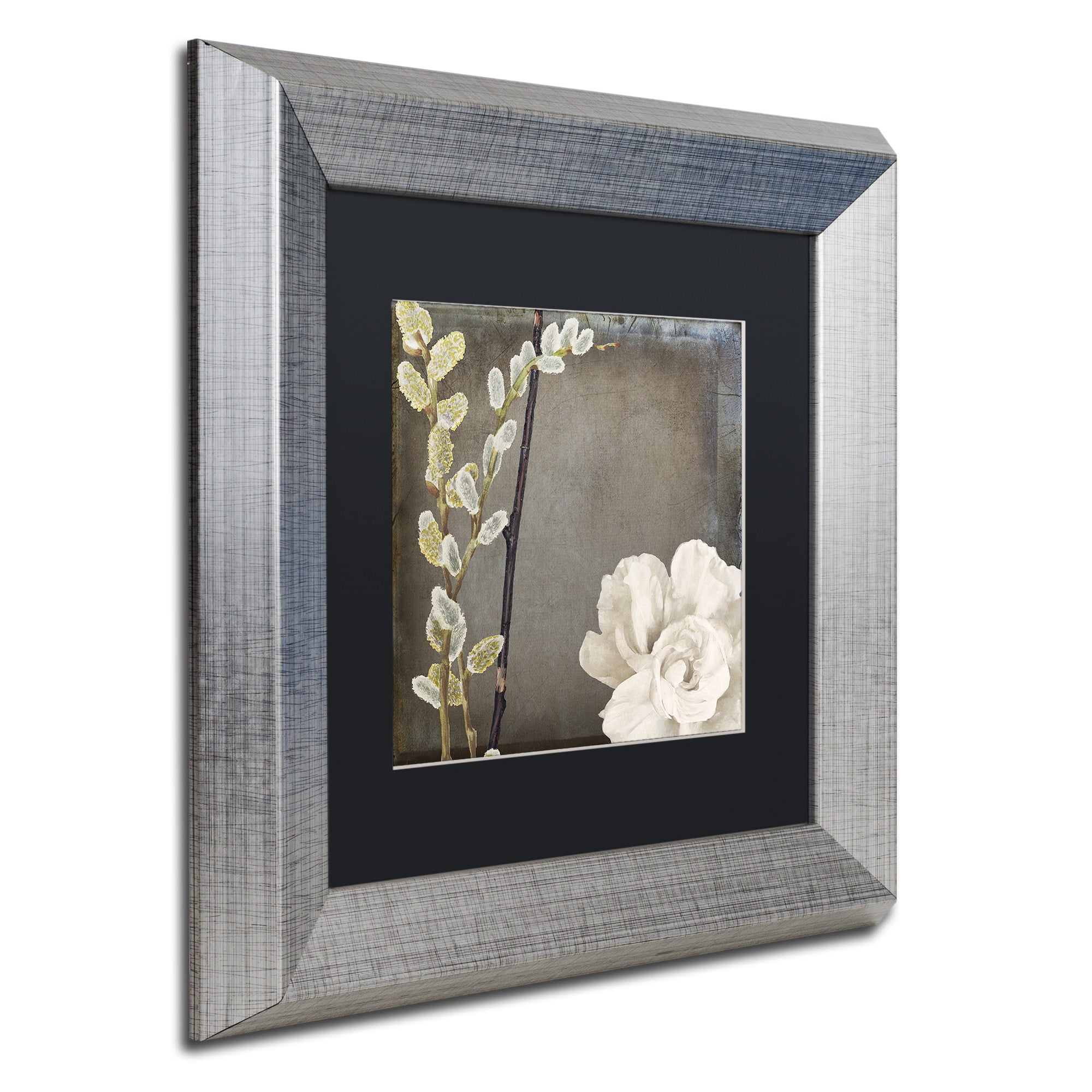 Trademark Fine Art "India I" Canvas Art by Color Bakery, Black Matte, Silver Frame