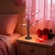 thumbnail image 1 of Lunxisen 4 Pcs Valentines Day Decoration Tree Light with Heart Ornaments,Battery Operated Valentines Day Decor Lighted Tree, for Home Table Bedroom, 1 of 9