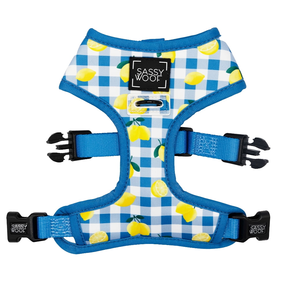 Sassy Woof Comfort Dual-Clip Reversible Dog Harness - Lemonade Stand, Extra Small