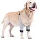 thumbnail image 2 of ZHAOCHENG Protector de codo para perro, funda ajustable para pata delantera, protección para recuperación de lesiones por cirugía de mascotas, 1 par, 2 of 5