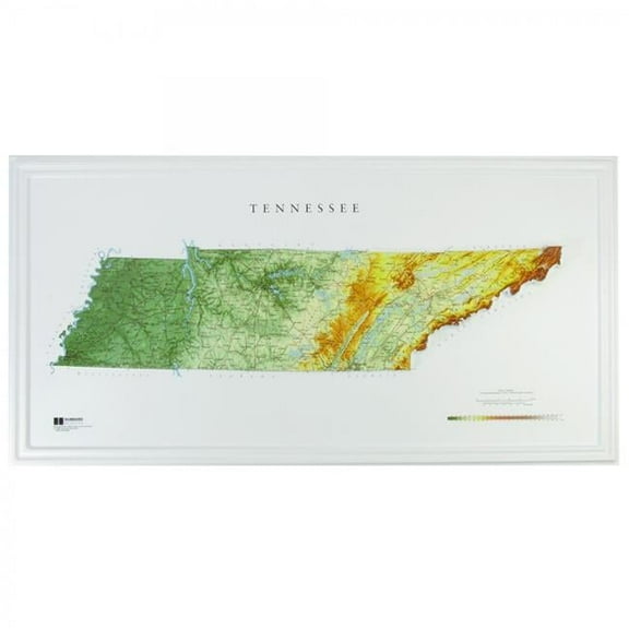 TestPlay 3072 36 x 18 in. Tennessee State Raised Relief Map, Rubberized Foam Backing - Large