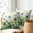 thumbnail image 5 of St. Patrick's Day Pillow Covers Set of 2 20x20 Inch Green Shamrock Outdoor Decorative Throw Pillowcases with Spring Lucky Clover Design for Farmhouse Couch Decor Perfect Holiday Gift, 5 of 6