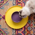 thumbnail image 5 of Round Silicone Pet Food Mat - Waterproof Dog & Cat Feeding Mat with High Lip to Prevent Spills & Protect Floors (Yellow, 7''Dia), 5 of 6