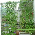 thumbnail image 6 of Plant Climbing Net for Vegetables & Flowers | Support for Cucumbers, Tomatoes, Peas | Space-Saving Garden Trellis | 0.9m x 1.8m to 1.8m x 3.6m Sizes | Reusable & Easy Installation, 6 of 8