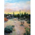 thumbnail image 2 of Bonaparte, Diane 25x32 White Modern Wood Framed Museum Art Print Titled - Quiet Desert Morning, 2 of 4