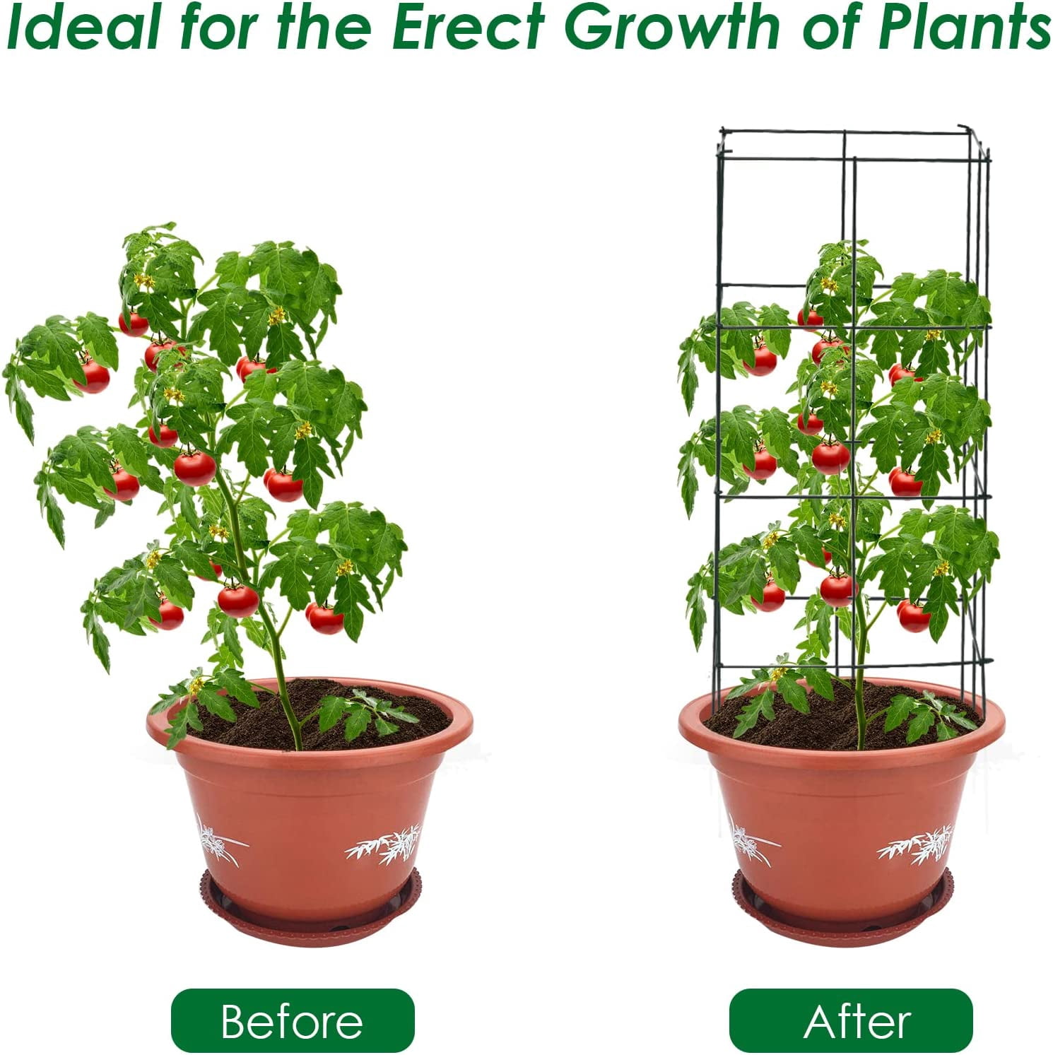 ZMSHOP 4 Pack Folding Tomato Cages, 39 Inches Tall Square Plant Support Cage for Garden Climbing Plants Flowers Fruits, Heavy Duty Tomato Vegetable Trellis