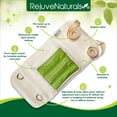 thumbnail image 2 of Paquete de aceite de ricino Rejuvenaturals con 480 ml de aceite de ricino orgánico, 2 of 5
