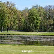 Airmax EasyKlear Defense 2 in 1 Granular Pond Algae Control, Effective & Fast Acting Algaecide, Aquatic Weed Treatment for Clear Water in Ponds & Fountains, Use as Directed, 15 lbs