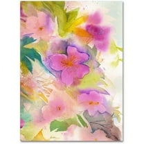 Trademark Fine Art "Cascade" Canvas Art by Sheila Golden