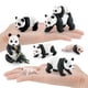 thumbnail image 5 of Tablero del ciclo de vida de los animales, juguetes para niños, material didáctico Montessori, modelo de ciclo de crecimiento de pandas, juguetes cognitivos preescolares, 5 of 5