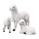 thumbnail image 1 of Advancent Resin Goat Figurine Lamb Ornament Decor  Yard Home Farm for Decoración del hogar 3 corderos, 1 of 1