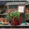 thumbnail image 4 of BloemBagz Big Herb Planter Grow Bag 5 Gallon Living Green, 4 of 5