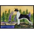 thumbnail image 1 of Carolines Treasures SS8201JMAT Basenji Paillasson Intérieur Ou Extérieur - 24 x 36 Po., 1 of 4