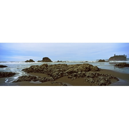 - Rock formations on the beach Ruby Beach Olympic National Park Olympic Peninsula Washington State USA Poster Print